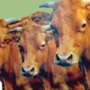 양마농장 이미지