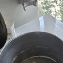 육담정