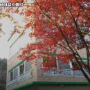 강원헬스클럽 이미지