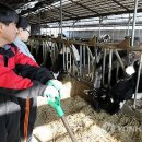 여물소농장 이미지