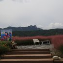 속초나드리 이미지