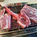 창원 반지동 홍홍양꼬치 양고기 세트 가성비 맛집