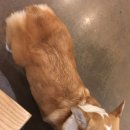 카페153블레스 이미지