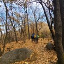 황송공원 이미지