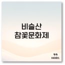 참꽃 | 비슬산 참꽃문화제 모든 것 2025년 정보까지 깔끔 정리