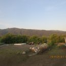 부엉이 농장 이미지