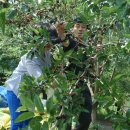 신희농장 이미지