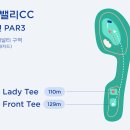 홀인원골프존 이미지