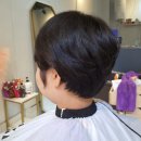 엘리스헤어?? 이미지
