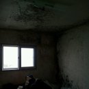 진흥세탁 이미지