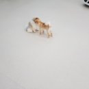 욜로호텔 이미지