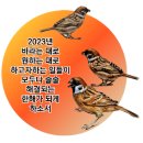 2023-0103 이미지