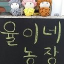 율이네농장 이미지