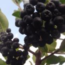 곡은농장 이미지