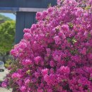 UR(공주시)-[동학사1로]-상-12 | 동학사맛집 돈금정 계룡맛집 &amp; 동학사고깃집, 점심·단체·계곡 OK