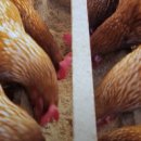 김태현농장 이미지