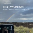 캡틴하우스 | 12일 신혼여행] day 3. Kona coffee&amp;tea 아침, 캡틴쿡 트래킹, 스노클링, 바식 아사이, 카누 하우스...