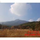 서리마을2길 이미지