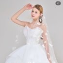 6735 | 💍 웨딩 일기 11-1. 하오니의 본식드레스 찾기 대작전 - '아비가일' 드레스투어 후기 (계약 O)