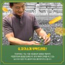 클로버푸드 이미지