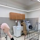망고펫살롱 이미지