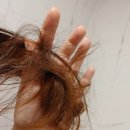 우기바다 | 머리결좋아지도록 티타트 헤어트리트먼트 매일매일 사용해요