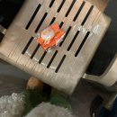 11545-03-21-17 | 20251225 고척돔 브아솔콘서트 후기 (플로어S석/셋리스트/시야/꿀팁)