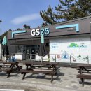 A140 | 강릉 연곡솔향기 캠핑장 A143 오션뷰 사이트 예약팁 내돈내산 후기