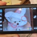 550 | 셀카용 디카 추천 | 삼성ST550 후기 및 인물 작례 ₍^˖ᓀ.ᓂ˖^₎