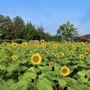 드라마촬영장 이미지