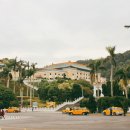 피오리화원
