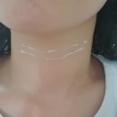 (주)에버셀 네이버블로그