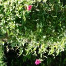 전원 어린이집 이미지