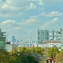 도쿄 오다이바 레인보우브리지 야경포인트 후기