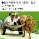 장하다 이미지