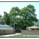 월성주유소 이미지