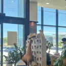 완도어반 | 완도 점심 맛집 완도어반 내돈내산 후기 포장 주차