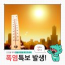 01-71 동구 | [옆커폰 범일]지금 나가면 3분 완숙🥵 폭염특보 실시간 현황!