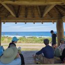 와랑와랑 이미지