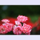 곡성-053 티스토리