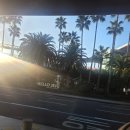 색달동-14 | 크리스마스 분위기 내는 11월 (feat. 지겨운 제주도지만 맛있는건 참을 수 없어)