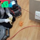 세한약품 이미지