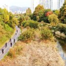 학의천변 이미지