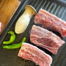 달빛고기 이미지