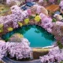 이중섭레플리카전 이미지