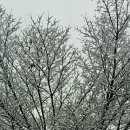 칼튼 관광호텔 이미지