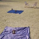 놀장 | 2025. 진주로컬문화장터 놀장 후기