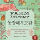 미식도감 이미지