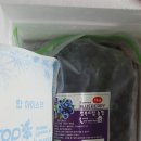 행복드림농장 이미지