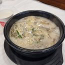 주혁목장 | [강릉/평창] 2023년 7월 22일 - 3일차 (26개월 아가랑)